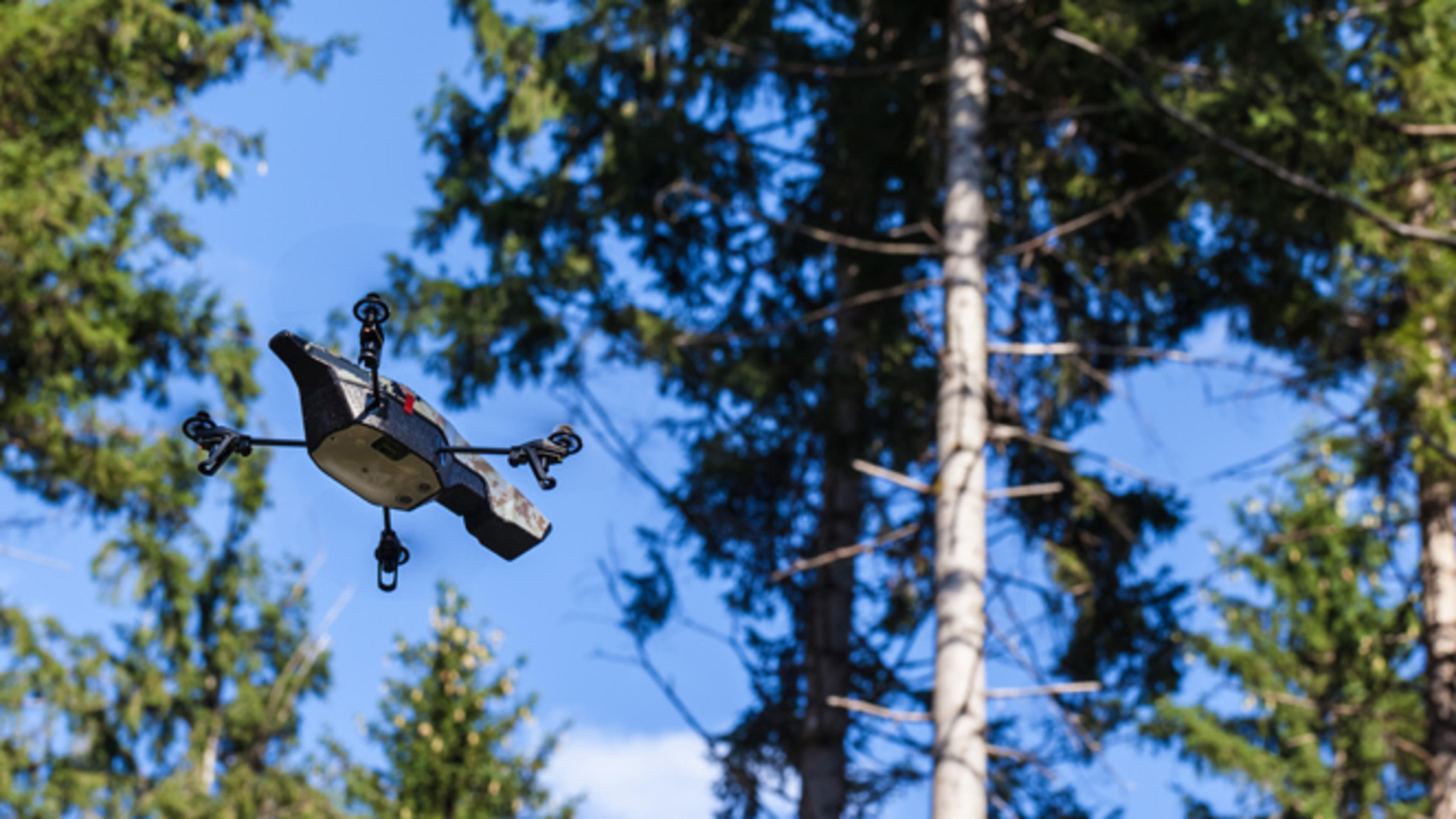 Drönare i Skogssällskapets forskningsskog