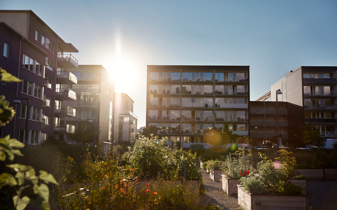 Husfasader där solen skiner i ett gap mellan två byggnader.