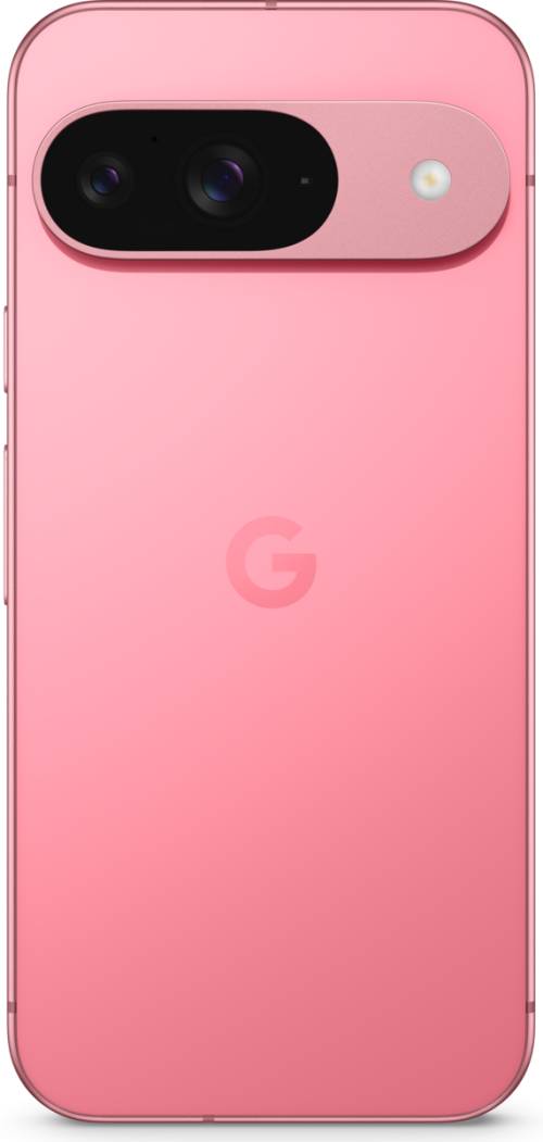 Google Pixel 9 256GB Pion