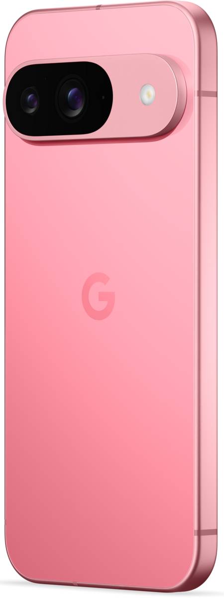 Google Pixel 9 256GB Pion