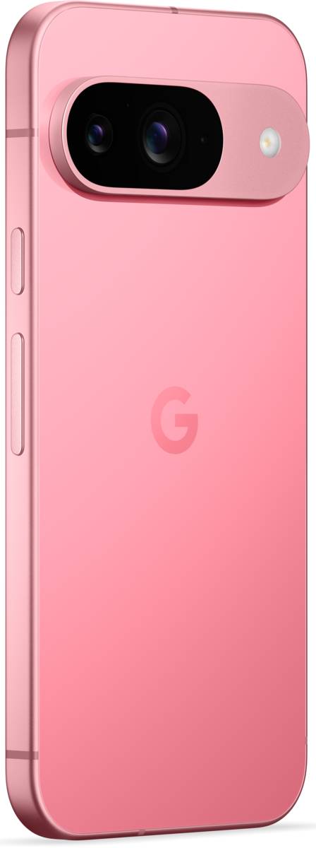 Google Pixel 9 256GB Pion