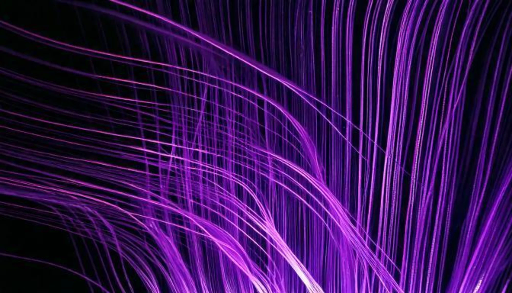 Mörk bild med lila streck som ska symbolisera fibertrådar